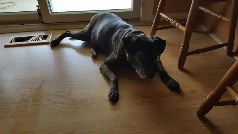 Home boarding